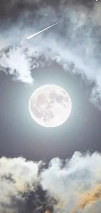 This lively live wallpaper for your phone features a beautiful plane soaring through a stunning sky with a full, circular white moon in the background