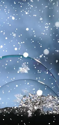 This live phone wallpaper features a charming snow globe on a snow-covered ground