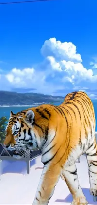 Cloud Sky Bengal Tiger Live Wallpaper