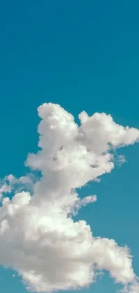 This phone live wallpaper depicts a plane soaring in the sky with a dragon-shaped cloud and a range of characters like a whale, elephant, robot, and alien