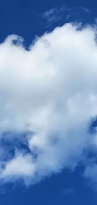 This live wallpaper depicts a large jetliner soaring through a clear blue sky, surrounded by soft, fluffy clouds