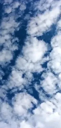This live wallpaper showcases a beautiful blue sky with fluffy clouds and a plane flying overhead