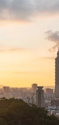 Get mesmerized by this phone live wallpaper of a beautiful cityscape view from atop a hill