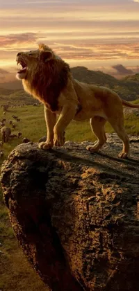 Experience the majesty of the king of the jungle on your phone with this stunning live wallpaper