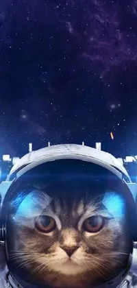 Add an out-of-this-world twist to your phone with this space cat live wallpaper! Featuring a curious feline wearing a space suit, this wallpaper shows the cat looking up at the stars, as if listening intently