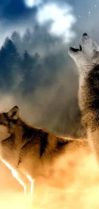 This live wallpaper features a stunning image of two wolves standing together against a forest background
