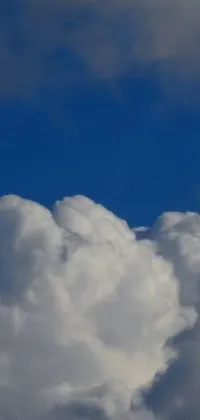 This lively phone live wallpaper showcases a striking image of a jetliner soaring through blue clouds