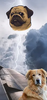 This live wallpaper showcases a surreal scene of a dog sitting on the wing of an airplane mid-flight, featuring thunder and lightning for dramatic effect