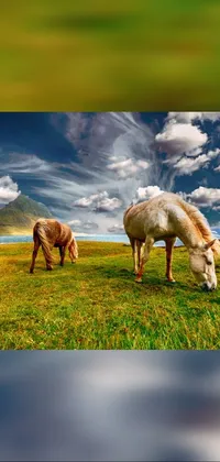 Bring nature's beauty to your mobile device with this stunning live wallpaper of two horses standing on a lush, green field