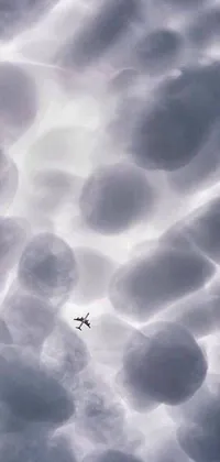 This stunning phone live wallpaper captures the beauty of a plane soaring through a scenic cloudy sky