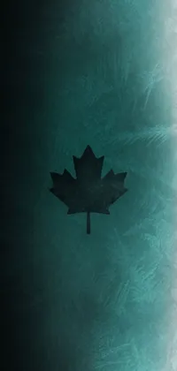 This phone live wallpaper showcases a close-up of a frosty leaf with a teal palette, on a black water-background with horror elements
