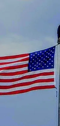 This live wallpaper showcases the American flag with a proud bald eagle resting on top of it