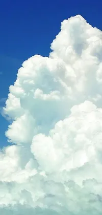 This phone live wallpaper features a stunning minimalist design showcasing a large, billowing cumulus cloud on a bright blue sky with hints of the major arcana tarot cards
