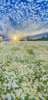 This phone live wallpaper showcases a breathtaking view of a vast flower field with a stunning windmill in the background