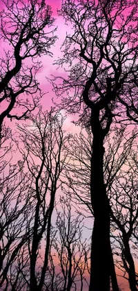 This stunning phone live wallpaper captures the soothing winter vibrancy of majestic trees standing tall in a mystical forest against a vibrant pink and purple sky