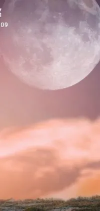 Looking for an other-worldly phone live wallpaper that captures the beauty of nature and the power of imagination? Look no further than this stunning giraffe standing on a lush green field under a giant pink full moon! The giraffe is intricately detailed and surrounded by beautiful cotton candy clouds