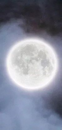 Fly high with this phone live wallpaper featuring a plane soaring in front of a full moon