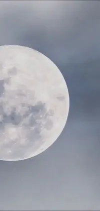 Enjoy the stunning beauty of this live wallpaper for your phone! The video still showcases a plane flying in front of a full moon, creating a mesmerizing scene