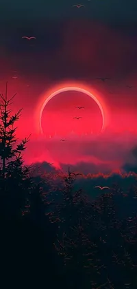 This phone live wallpaper showcases a stunning red and black sunset with birds in the sky