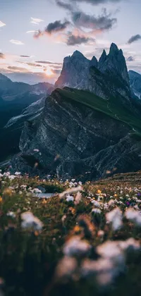 This live wallpaper features a stunning field of colorful flowers set against a towering mountain in the background