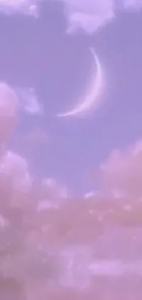 This phone live wallpaper displays a serene scene of a plane flying through a cloudy sky in a purple, Sailor Moon inspired aesthetic