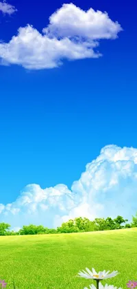 Cloud Sky Plant Live Wallpaper
