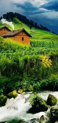 Looking for a stunning wallpaper for your phone? This beautiful wallpaper features a charming house perched on a lush green hillside surrounded by flourishing farmland