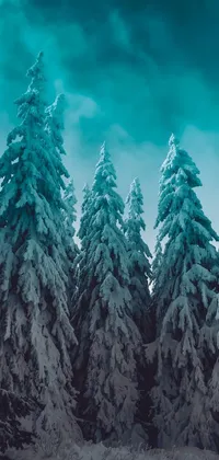 Looking for a stunning winter wallpaper that will take your phone's homescreen to the next level? Look no further than this captivating live wallpaper displaying a magical forest filled with snow-dusted trees