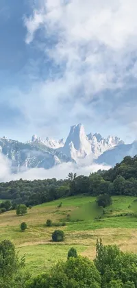 Looking for a calm and beautiful live wallpaper for your phone? Look no further than this serene image of a herd of cattle grazing on a lush green hillside, set against a clear blue sky with a dragon-shaped cloud