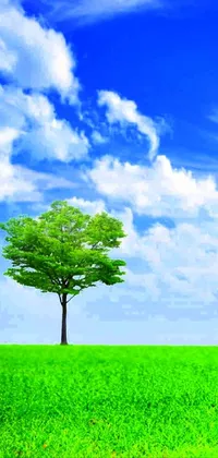 Plant more trees Live Wallpaper