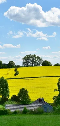 Cloud Sky Plant Live Wallpaper
