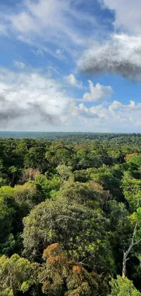 This stunning live phone wallpaper captures a breathtaking view of a forest from atop a building