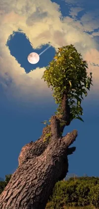 Adorn your phone screen with a stunning live wallpaper featuring a heart-shaped tree against a captivating blue sky with a smiling moon
