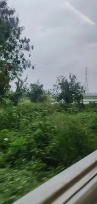This phone live wallpaper depicts the view of a moving train seen through a window, surrounded by lush green forests and swamps
