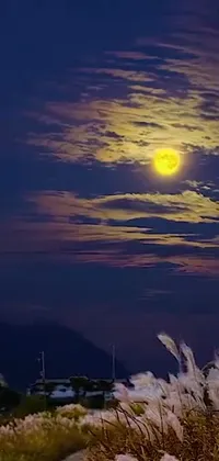 This live wallpaper depicts a stunning full moon setting in the dark blue sky