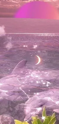 The Dolphin Live Wallpaper showcases a serene and picturesque scene featuring two magical dolphins swimming gracefully in a clear body of water