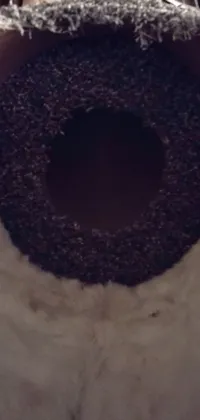 This phone live wallpaper features a mouthwatering image of a chocolate donut resting on a wooden table