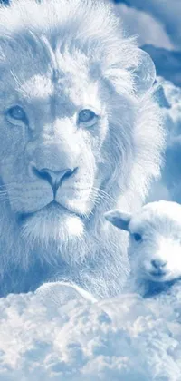 This phone live wallpaper features a serene and peaceful scene of a lion and lamb in the clouds