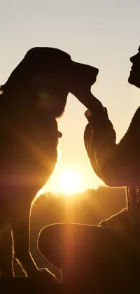 This phone live wallpaper features a beautiful sunset with warm tones in the background and a medium-sized breed dog in the center of the screen