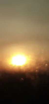 Looking for a calming live wallpaper for your phone? This option might be just what you need! Featuring a dreamy foggy sunset seen from a train window, this cellphone photo showcases the sun shining through a window and casting a warm glow over a misty cityscape