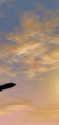 This stunning phone live wallpaper features a large jetliner soaring through a cloudy sky at sunset