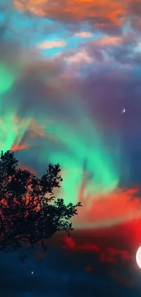 Transform your phone screen into a breathtaking, nature-inspired scene with this stunning live wallpaper