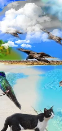 Unwind with this lively phone wallpaper featuring a dog and a flock of birds on a tropical beach paradise