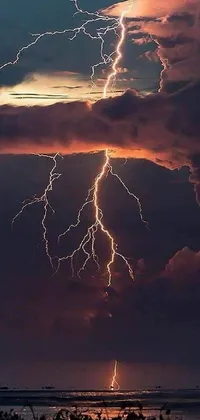This live wallpaper showcases a powerful lightning bolt over a serene body of water, complete with godrays at sunset