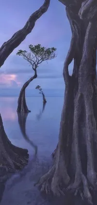 Experience the mesmerizing beauty of nature with this live wallpaper for your phone