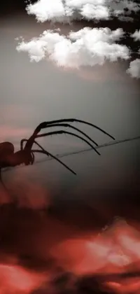 This phone live wallpaper showcases a digital painting of a spider on a power line