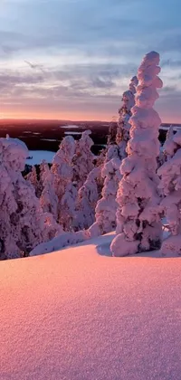 This stunning phone live wallpaper depicts snow covered trees on a slope in a boreal forest