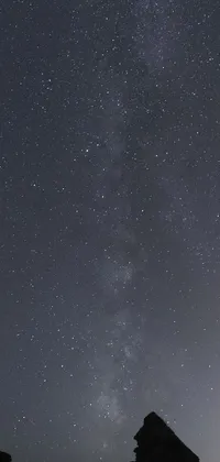This phone live wallpaper captures the beauty of a peaceful beach at night
