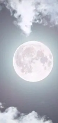 Looking for an eye-catching phone live wallpaper to spruce up your device? Look no further than this stunning image of a plane flying against a full moon backdrop, and beautifully complemented by a round-cropped pink ribbon, zombie, strawberry, and fairy