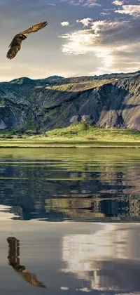 Transform your phone screen into a breathtaking Icelandic valley with this stunning live wallpaper